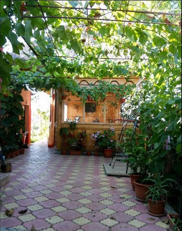 Casa Calin Hotel Crișan Kültér fotó